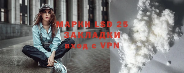стафф Бородино