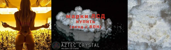 стафф Бородино