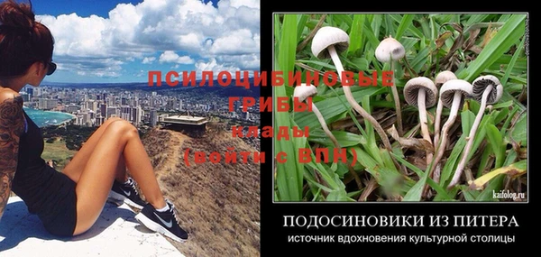 стафф Бородино