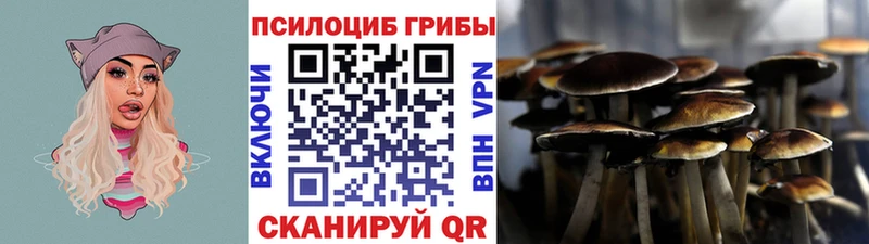 Псилоцибиновые грибы GOLDEN TEACHER Серпухов
